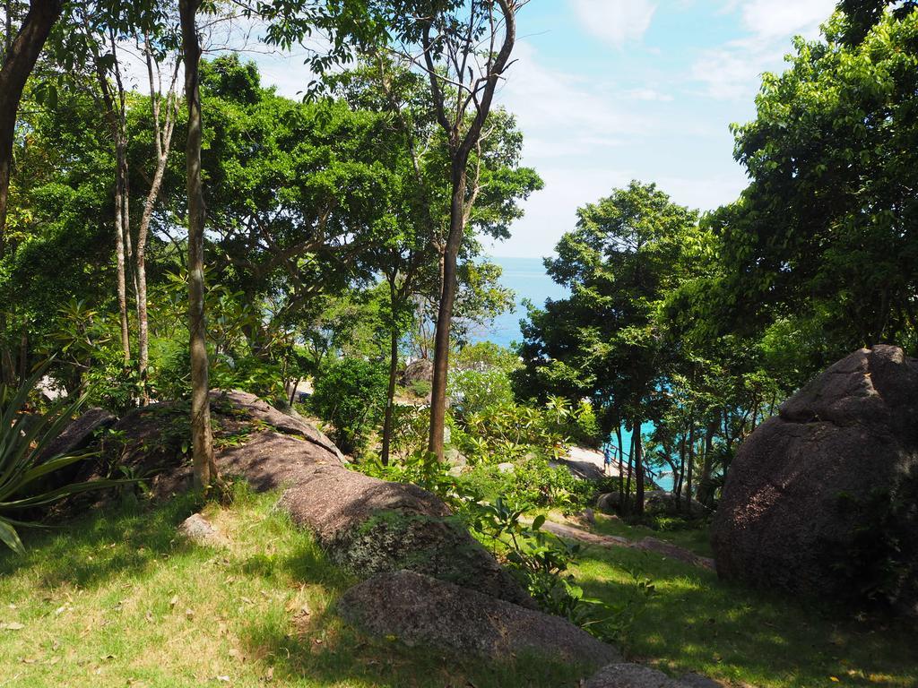 Ao Muong Beach Resort Κο Τάο Εξωτερικό φωτογραφία